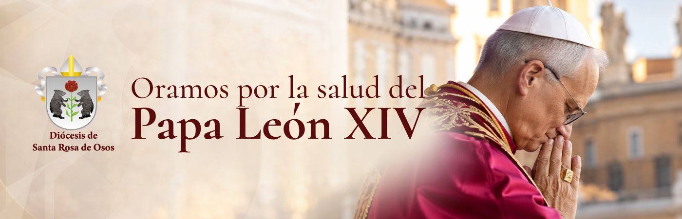 banner-Papa-León-XIV